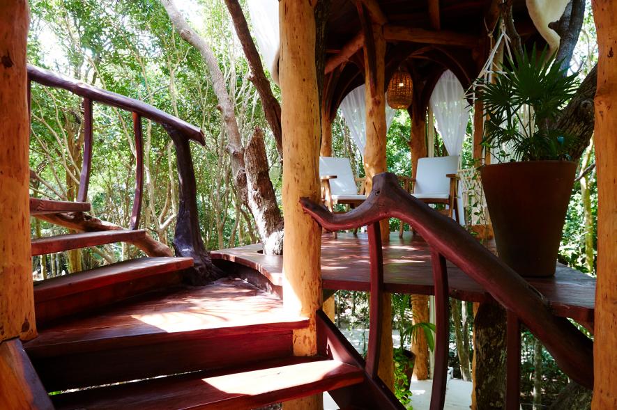 บ้านต้นไม้