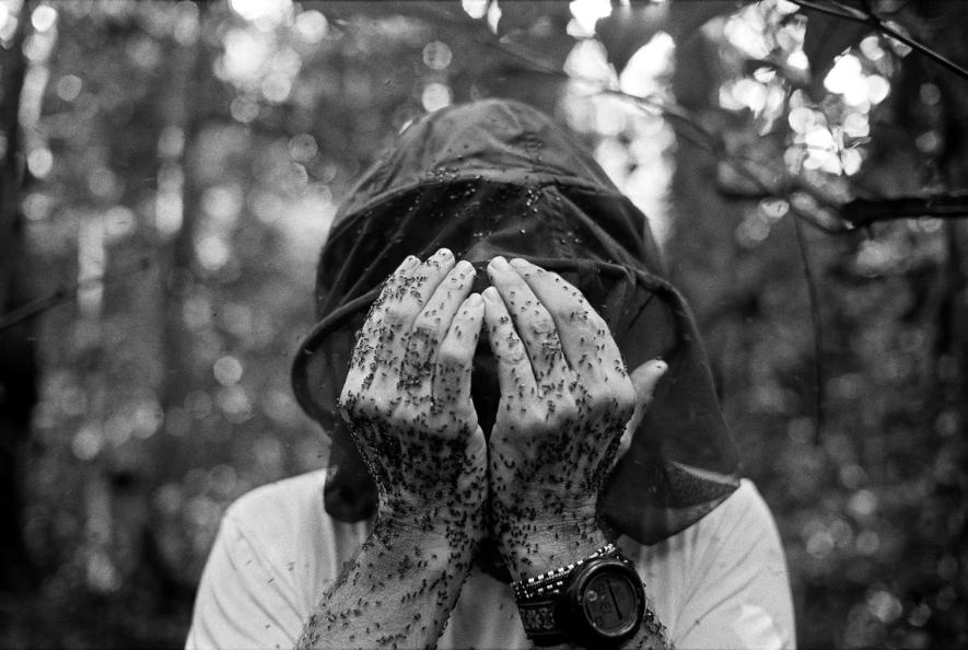 ภาพถ่ายสัตว์ป่า