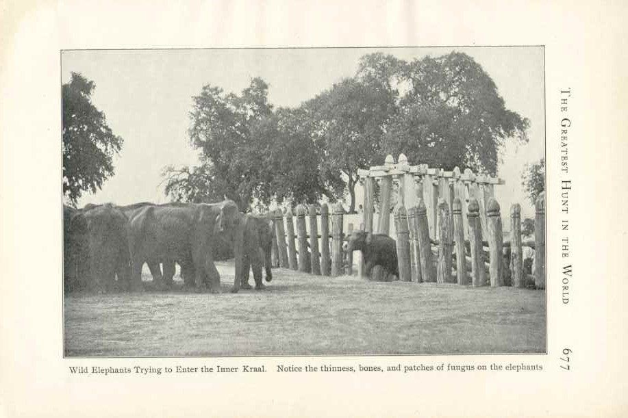 เมืองไทยในอดีต